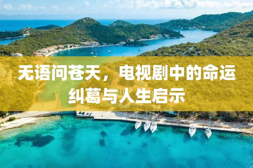 无语问苍天，电视剧中的命运纠葛与人生启示