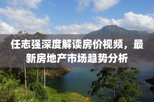 任志强深度解读房价视频，最新房地产市场趋势分析