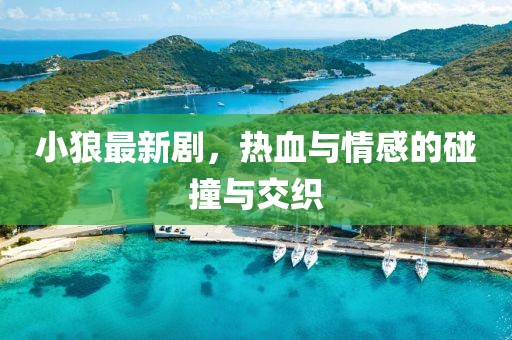 小狼最新剧，热血与情感的碰撞与交织