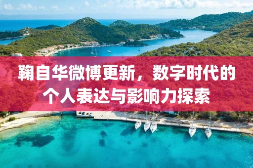 鞠自华微博更新，数字时代的个人表达与影响力探索