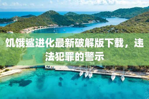 饥饿鲨进化最新破解版下载，违法犯罪的警示