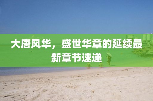 大唐风华，盛世华章的延续最新章节速递