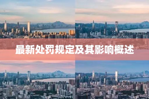 最新处罚规定及其影响概述