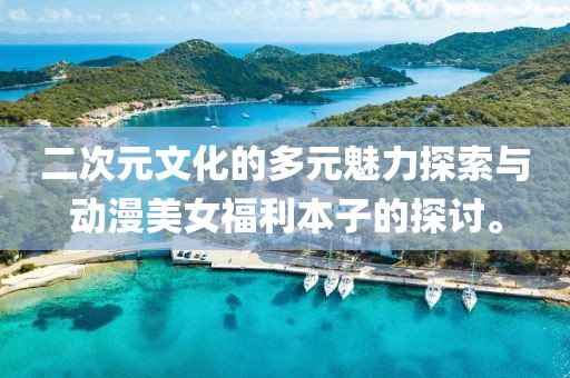 二次元文化的多元魅力探索与动漫美女福利本子的探讨。