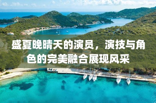盛夏晚晴天的演员，演技与角色的完美融合展现风采
