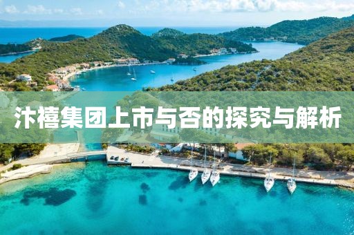 汴禧集团上市与否的探究与解析
