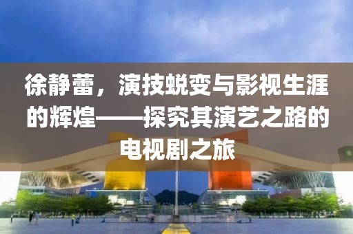 徐静蕾，演技蜕变与影视生涯的辉煌——探究其演艺之路的电视剧之旅