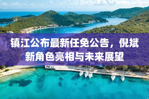镇江公布最新任免公告，倪斌新角色亮相与未来展望