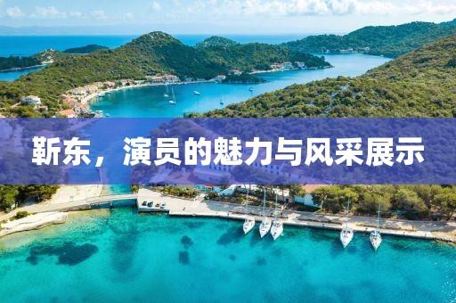 靳东，演员的魅力与风采展示