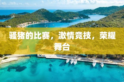 骚猪的比赛，激情竞技，荣耀舞台