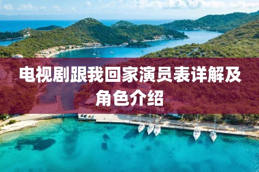 电视剧跟我回家演员表详解及角色介绍