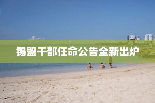 锡盟干部任命公告全新出炉