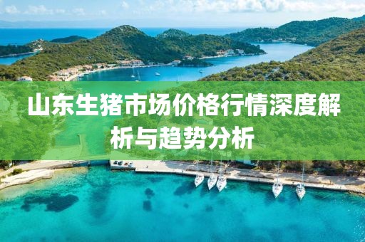 山东生猪市场价格行情深度解析与趋势分析
