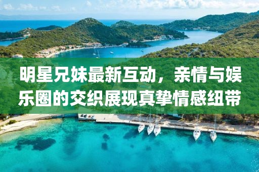 明星兄妹最新互动，亲情与娱乐圈的交织展现真挚情感纽带