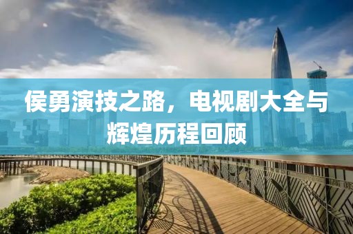 侯勇演技之路，电视剧大全与辉煌历程回顾