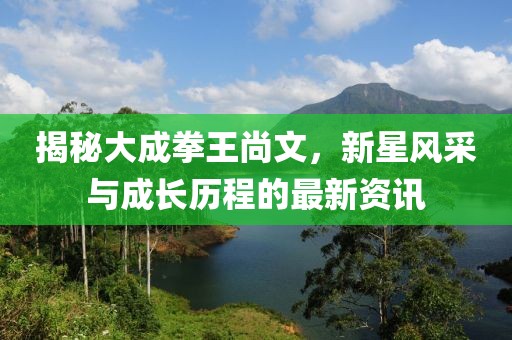 揭秘大成拳王尚文，新星风采与成长历程的最新资讯