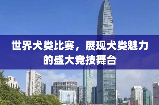 世界犬类比赛，展现犬类魅力的盛大竞技舞台