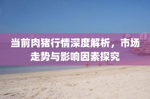 当前肉猪行情深度解析，市场走势与影响因素探究