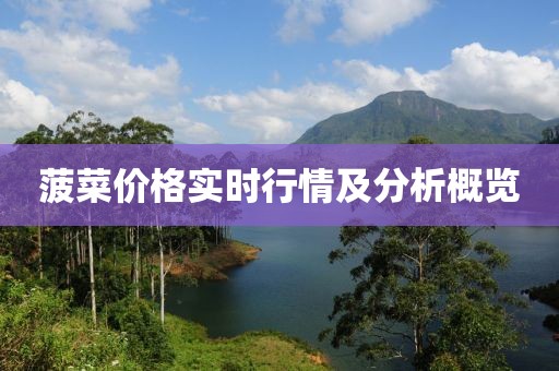 菠菜价格实时行情及分析概览