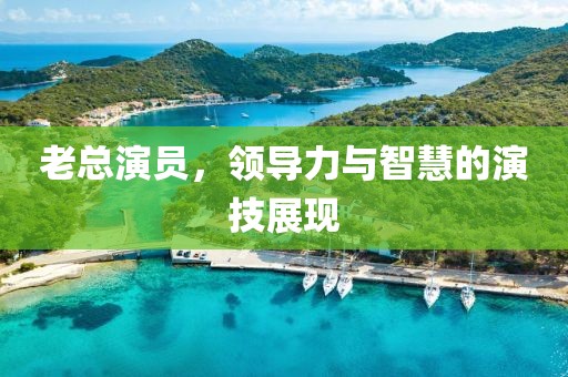 老总演员，领导力与智慧的演技展现