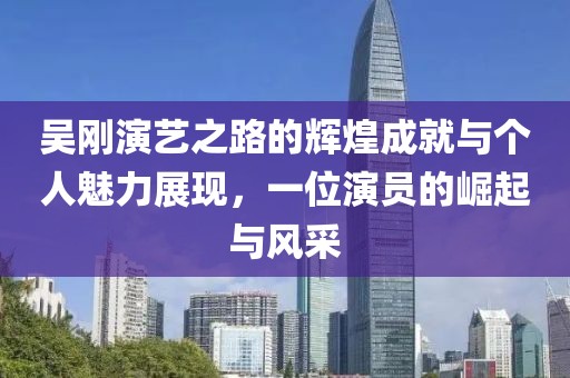 吴刚演艺之路的辉煌成就与个人魅力展现，一位演员的崛起与风采