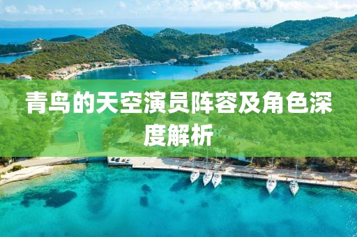 青鸟的天空演员阵容及角色深度解析