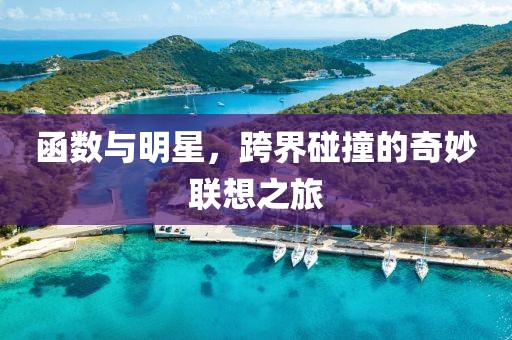 函数与明星，跨界碰撞的奇妙联想之旅