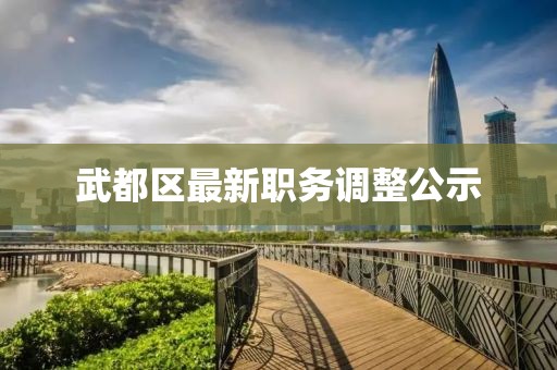 武都区最新职务调整公示
