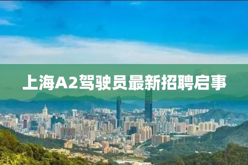 上海A2驾驶员最新招聘启事