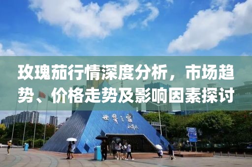 玫瑰茄行情深度分析，市场趋势、价格走势及影响因素探讨