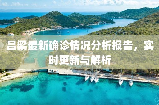 吕梁最新确诊情况分析报告，实时更新与解析