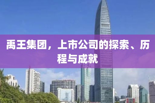 禹王集团，上市公司的探索、历程与成就
