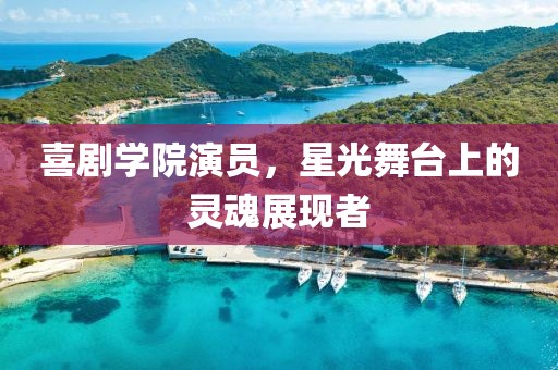 喜剧学院演员，星光舞台上的灵魂展现者