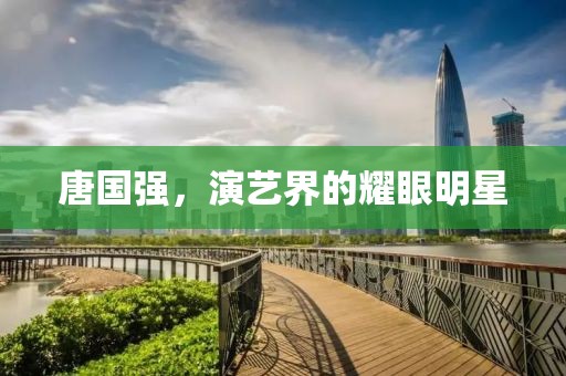 唐国强，演艺界的耀眼明星