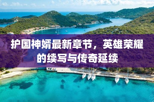 护国神婿最新章节，英雄荣耀的续写与传奇延续