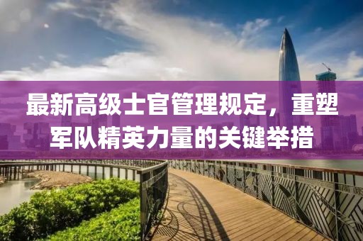 最新高级士官管理规定，重塑军队精英力量的关键举措