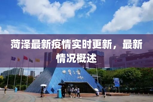 菏泽最新疫情实时更新，最新情况概述