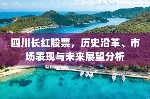 四川长红股票，历史沿革、市场表现与未来展望分析