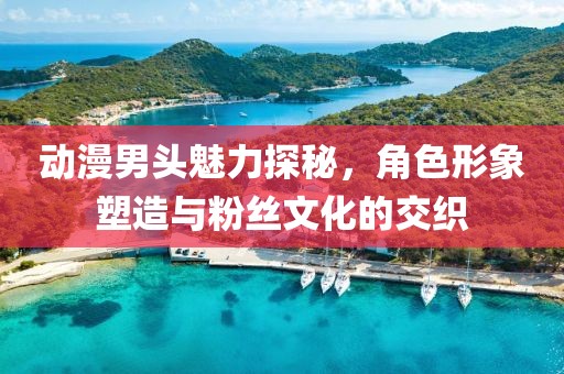 动漫男头魅力探秘，角色形象塑造与粉丝文化的交织