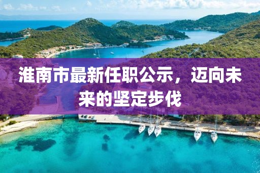 淮南市最新任职公示，迈向未来的坚定步伐