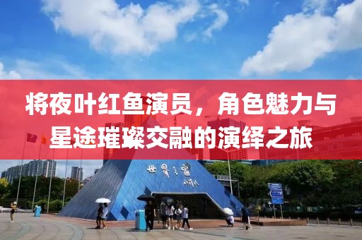 将夜叶红鱼演员，角色魅力与星途璀璨交融的演绎之旅