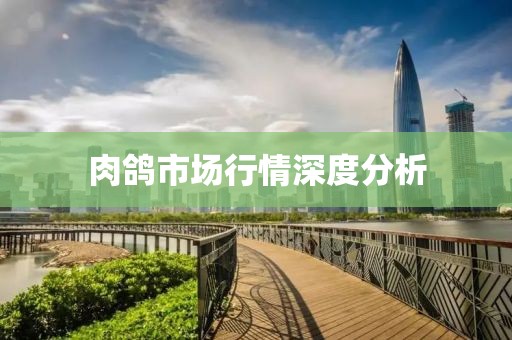 肉鸽市场行情深度分析