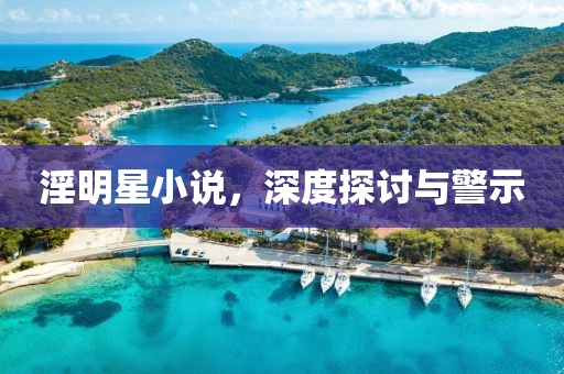 淫明星小说，深度探讨与警示