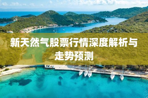 新天然气股票行情深度解析与走势预测