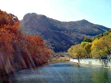潜山最新房源出租，多元选择，理想居住探索