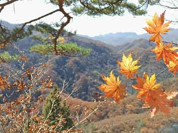 潜山最新房源出租，多元选择，理想居住探索