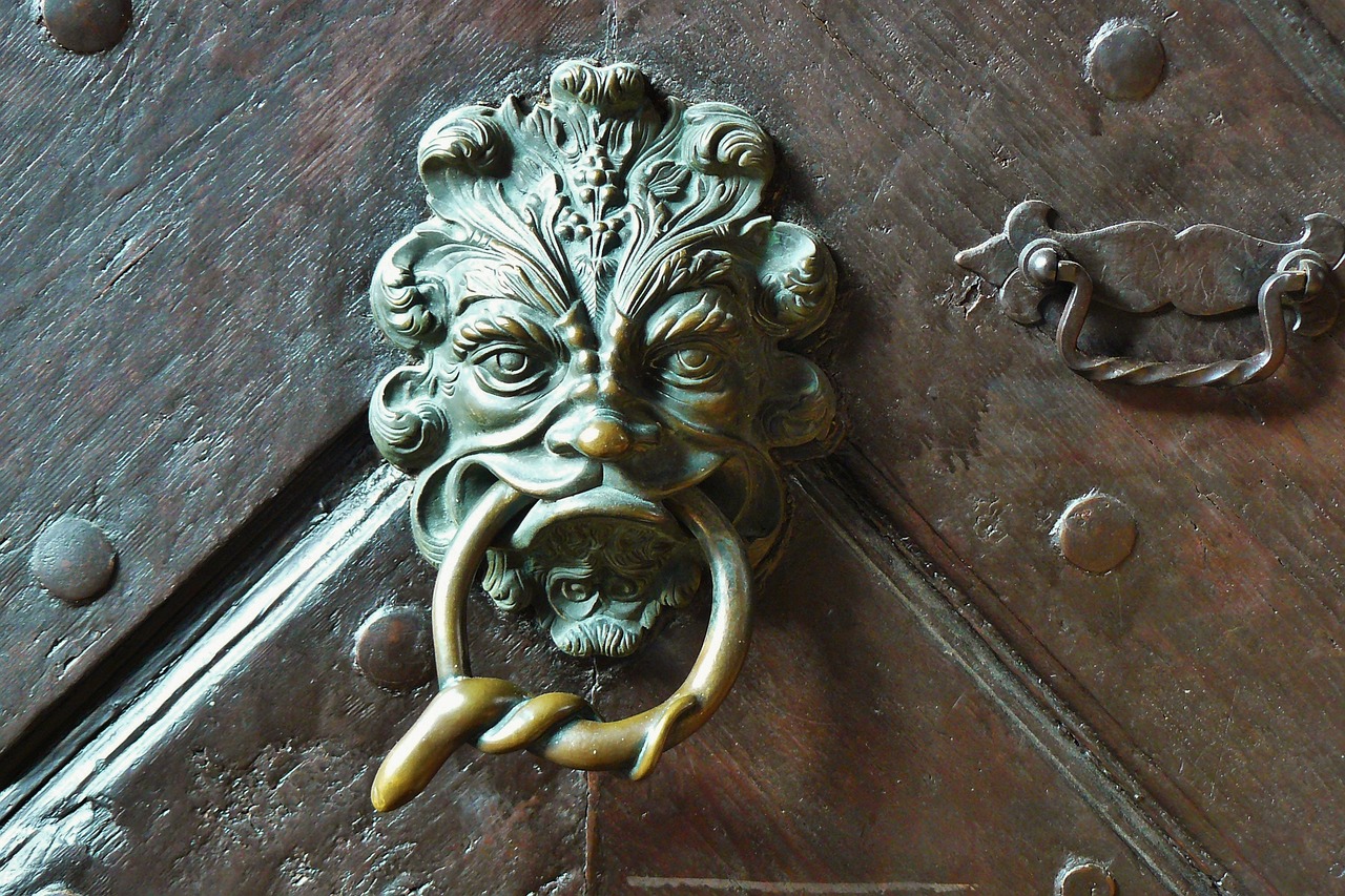 贵州龙化石真品价格揭秘，历史与价值的交汇点探寻