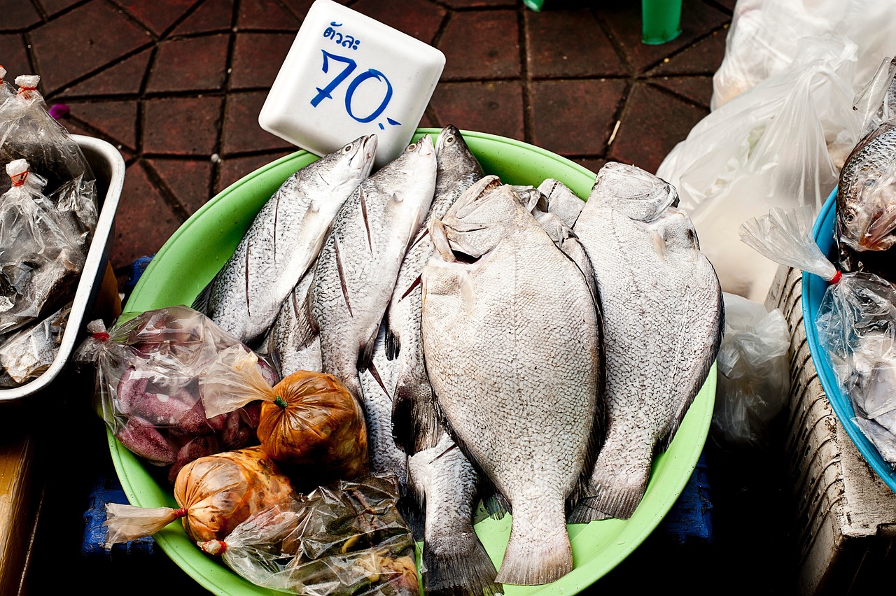 獾油价格分析，市场走势与影响因素探讨