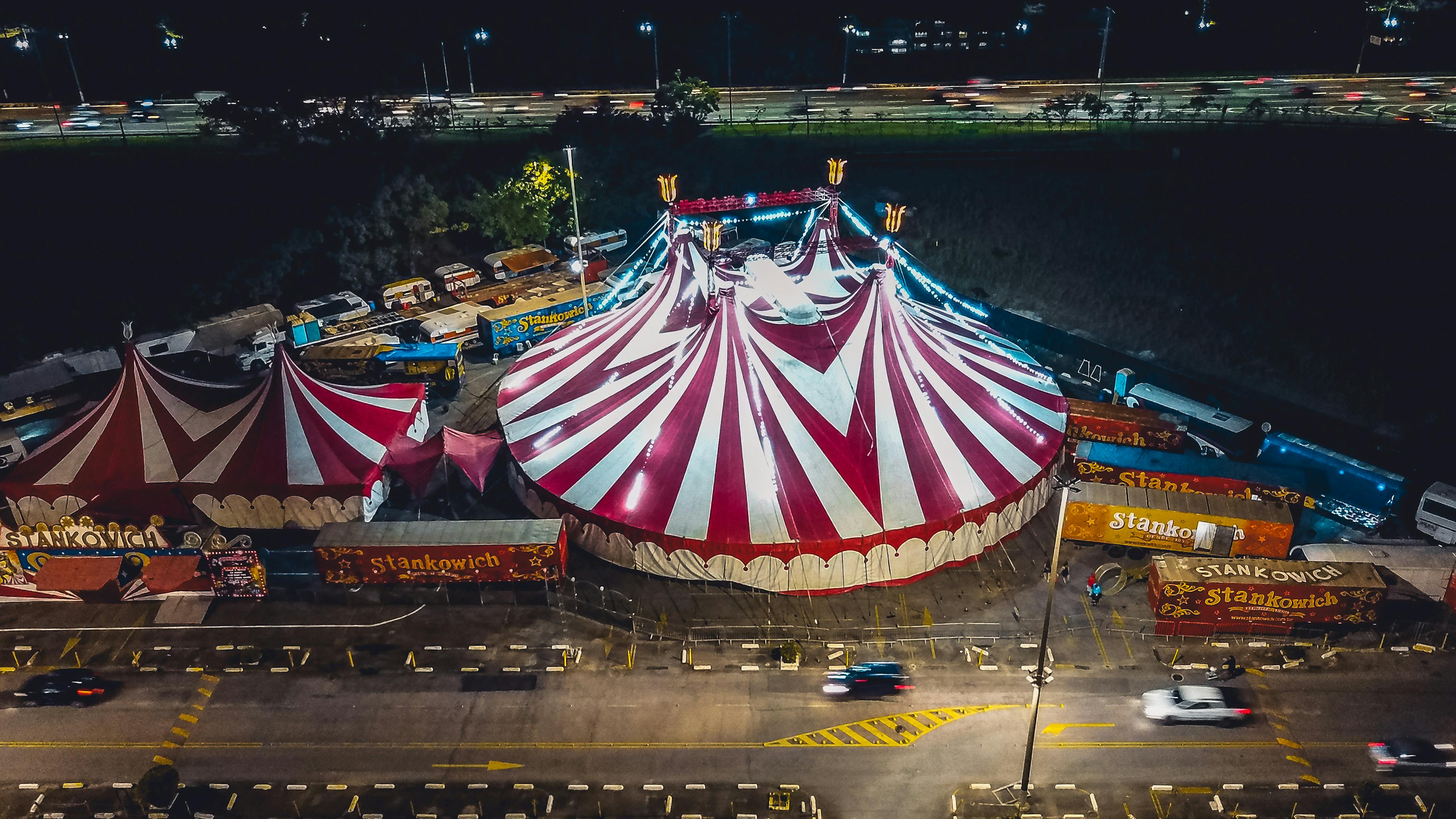 生姜最新市场价格及动态分析概览
