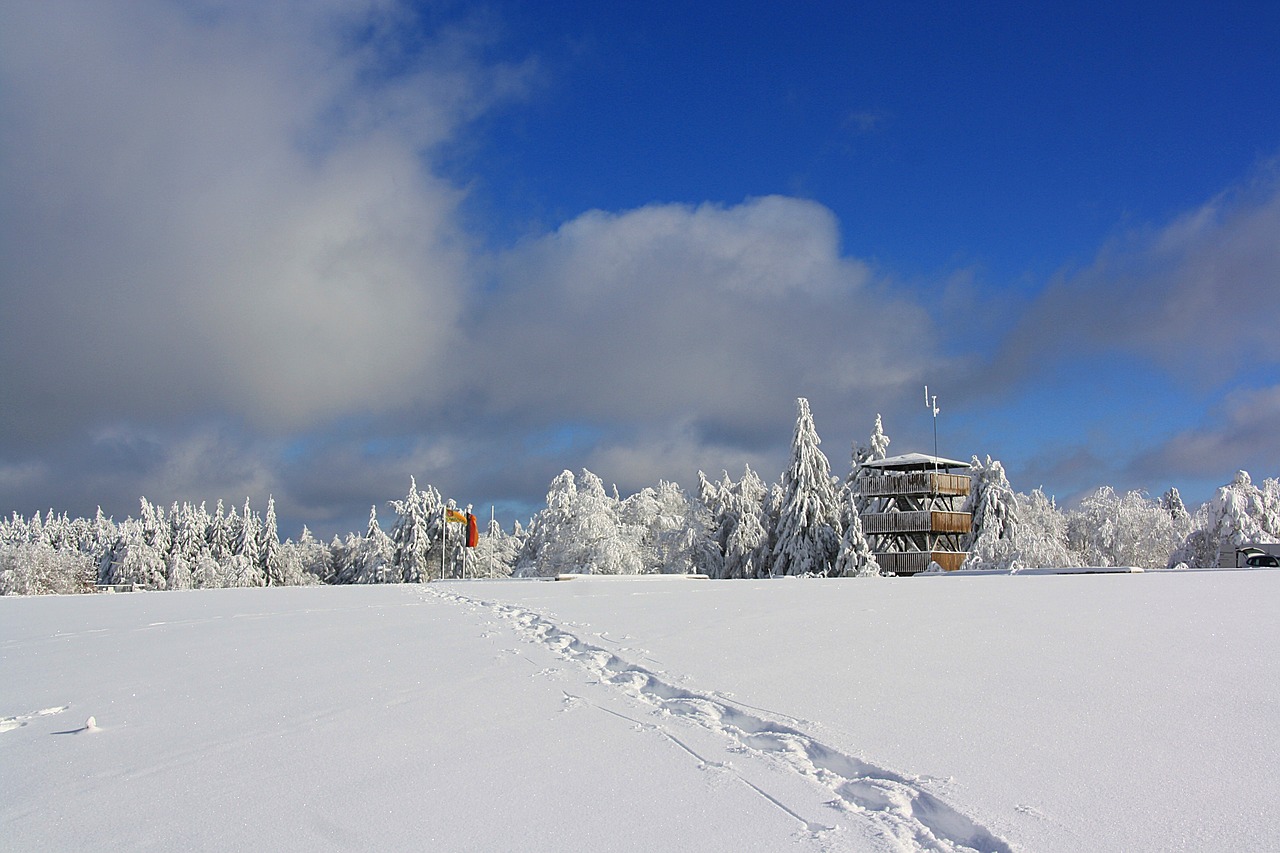 长春最新雪景，银装素裹的冬日画卷展现迷人风光